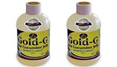 Obat Herbal Maag Kronis